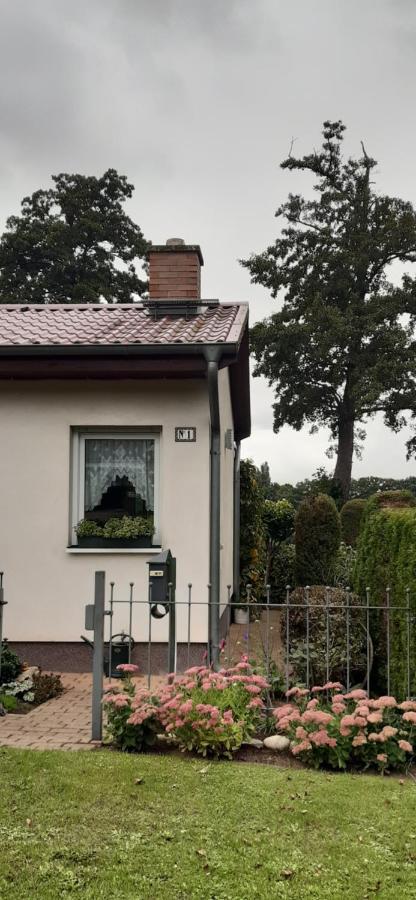 Bungalow Idylle Am See Neuruppin Exterior photo
